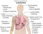 File:Symptoms of <b>leukemia</b>.png
