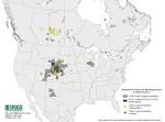 File:<b>Chronic wasting disease</b>