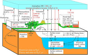 Image result for 生物地理化学循环