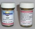 DNP Instead of Anabolic Steroids