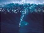 BIG WAVE SURFING, BIG WAVE SURFING POSTERS, big wave surfing ...