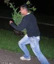 Call the copse! Police hunt serial yew tree thief caught on camera ...