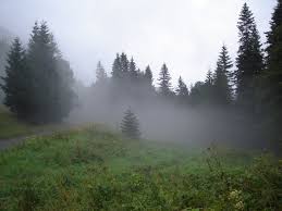 Cuando la niebla cubre a las hojas [Mizukage Vs Hokage]  Images?q=tbn:ANd9GcQhP3Mk5NYIJAVnsu7p3ZQUcCes1hoE1sfVmO8j9mg_69-AUykRRg