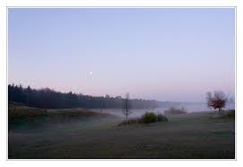 Tagesanbruch - Bild \u0026amp; Foto von Herbert Fellner aus Nebelstimmungen ... - 12680286