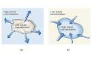 questions about hypertonic hypotonic - Biology-