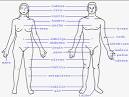 del <b>cuerpo humano</b>.png