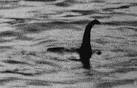 El Monstruo Del Lago Ness - Wiki Creepypasta
