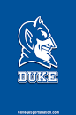 DUKE Blue Devils | College Sports Nation