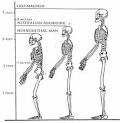 Cro-Magnon A skeleton estimated as being 10,000 years old was ...