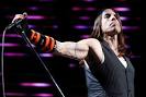 Red Hot Chili Peppers announce comeback gig | News | NME.