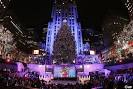 Largest tree for a ROCK CENTER is glowing and eco friendly