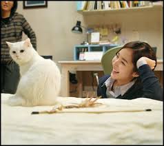 the cat, the cat movie, the cat horror movie, korean the cat, cat in korea, korean cat, cat horror movie