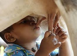 طفل يرضع من بقرة بعد أن تركته أمه شاهد الصور... Images?q=tbn:ANd9GcR-9VUFY2uUmCdl-_6eQpvbbACmoRD7Vei7HQAKTRtB3owNcSBC