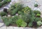 A Herb Garden Landscape Design Should Be Chosen For A Specific ...