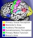Clinical Neuropsychology