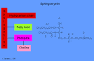 <b>Sphingolipids</b> - ChemWiki