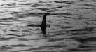 Is THIS the LOCH NESS MONSTER? Apples Maps satellite image may.