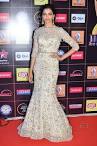 Renault Star Guild Awards 2015- The Times of India Photogallery