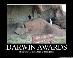darwin awards