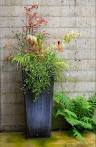Potted Plant Ideas: 5 Top Tips for Your Patio's Planters ...