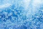 Freeze, frost warnings issued for Bay Area Tuesday | Bay City News ...
