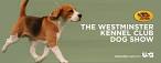 WESTMINSTER KENNEL CLUB DOG SHOW - Hulu