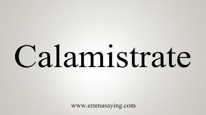 Image result for calamistrate