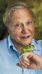 The real figure is more likely to be less than one in 25,&#39; said study author Professor Mark Jobling of Leicester University. David Attenborough - article-1141587-026BA9E400000578-982_224x388