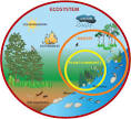 abiotic factors | Greendiary : Greendiary – Let's go green and ...