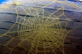 Spinnennetz unter Wasser - Bild \u0026amp; Foto von Bernd Kett aus ...