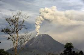 Aumento de actividad volcanica en el mundo en 24 horas Images?q=tbn:ANd9GcRJDBZHmjyc9uB48dpzajZPMzcRFlk_1TMC_iN_6-zNupbby29v