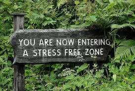 stress free life