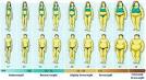 BMI Visual Graph: See the Body Mass Index Visually