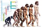 Are Humans Still Evolving?