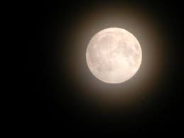 Luna Piena in Vergine - Marzo 2011 Images?q=tbn:ANd9GcRS4v8xdoDEt3MpLu6WIcKX4RcTKBwo4mwZ0A4B7DKIdeurePukxA