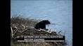 Batnuni Lake Guide & Outfitters - YouTube