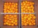 10kg plasic box baby oranges for sale products,China 10kg plasic ...
