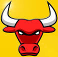 Basingstoke Bulls