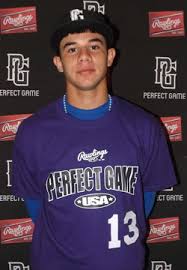 Felipe Rivera Adorno Baseball Profile | Perfect Game USA - 1302-8-Purple-13