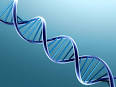 Genetic Testing | Asper Biotech