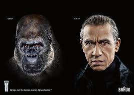 Braun Series Shaver: Chimp Series 1, Orang-Utan Series 3, Baboon Series 5, Gorilla Series 7 - braun-series-shaver-chimp-series-1-orang-utan-series-3-baboon-series-5-gorilla-series-7-print-300104-adeevee