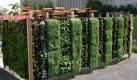 Outdoor Living Wall Planters - The Green Head