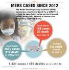MERS reaches Thailand, says local media - The Malaysian Insider