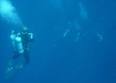 uses, see <b>Decompression</b>