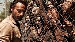 Take a Look at These 6 Walking Dead Facts That All True Fans Need.