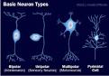 HowStuffWorks "How Your Brain Works"