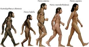 نظرية العالم دروين المثيرة للجدل أن أصل الإنسان قرد Images?q=tbn:ANd9GcRfjOAlCzJWTas2Mr14WyGZecjnUs3JLNYmrdfb_EXFxrT_kadBdA&t=1