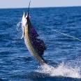 Sport Fishing in St. Croix USVI, St. Croix travel, St Croix ...