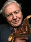 The unparalleled naturalist David Attenborough has participated in a huge ... - attenborough