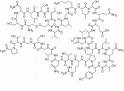 <b>Calcitonin</b> has the following